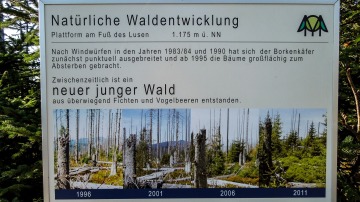 2014-Schwabische-Alb-HW1-Bayerischer-Wald-Goldsteig-144