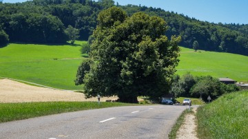 2015-E4-Berchtesgaden-DE-Tarifa-ES-115