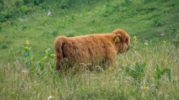 2015-E4-Berchtesgaden-DE-Tarifa-ES-146