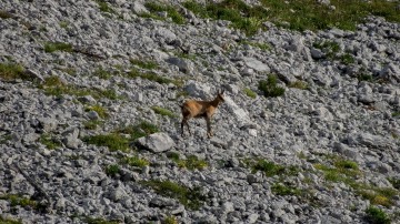 2015-E4-Berchtesgaden-DE-Tarifa-ES-180