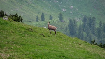 2015-E4-Berchtesgaden-DE-Tarifa-ES-48