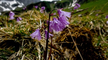 2015-E4-Berchtesgaden-DE-Tarifa-ES-61