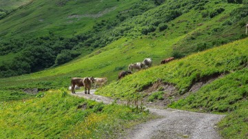 2015-E4-Berchtesgaden-DE-Tarifa-ES-73