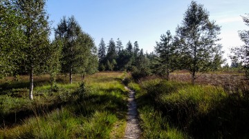 2_2016-Schwarzwald-Westweg-22