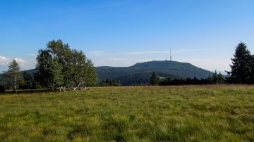 2_2016-Schwarzwald-Westweg-23