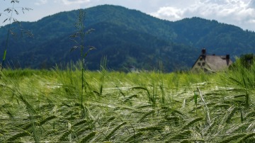 2_2018-Schwarzwald-Feldberg-Tour-2