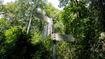 2_2018-Westweg-Ostroute-Basel-Freiburg-3