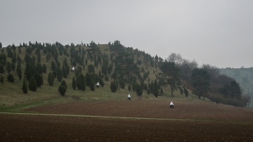 2019-Eifelsteig-Teil-2-18