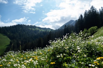 2022-Alpen-Schweiz-Isenthal-14