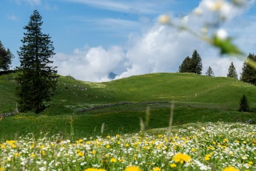 2022-Alpen-Schweiz-Isenthal-15