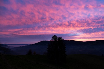 1_2022-Schwarzwald-Auggen-Hinterzarten-November-4