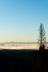 1_2022-Schwarzwald-Auggen-Hinterzarten-November-8