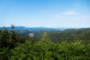 1_2022-Schwarzwald-Buhl-Kirchzarten-11