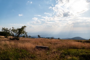 1_2022-Schwarzwald-Buhl-Kirchzarten-3