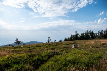 1_2022-Schwarzwald-Buhl-Kirchzarten-4