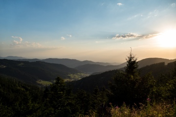 1_2022-Schwarzwald-Buhl-Kirchzarten-6