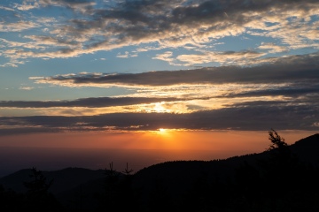 1_2022-Schwarzwald-Buhl-Kirchzarten-7