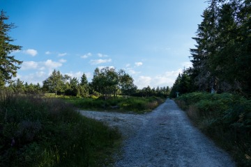 1_2022-Schwarzwald-Buhl-Kirchzarten-9