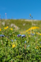 2023-Alpen-Schweiz-Riemenstalden-10