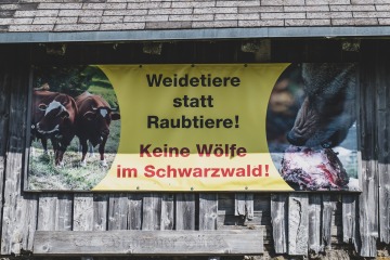 2023-Schwarzwald-Elzach-Weil-am-Rhein-9