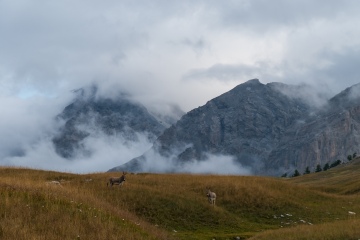 2021-Alpen-Frankreich-GR5-Nice-Modane-29