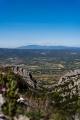 Provence-6